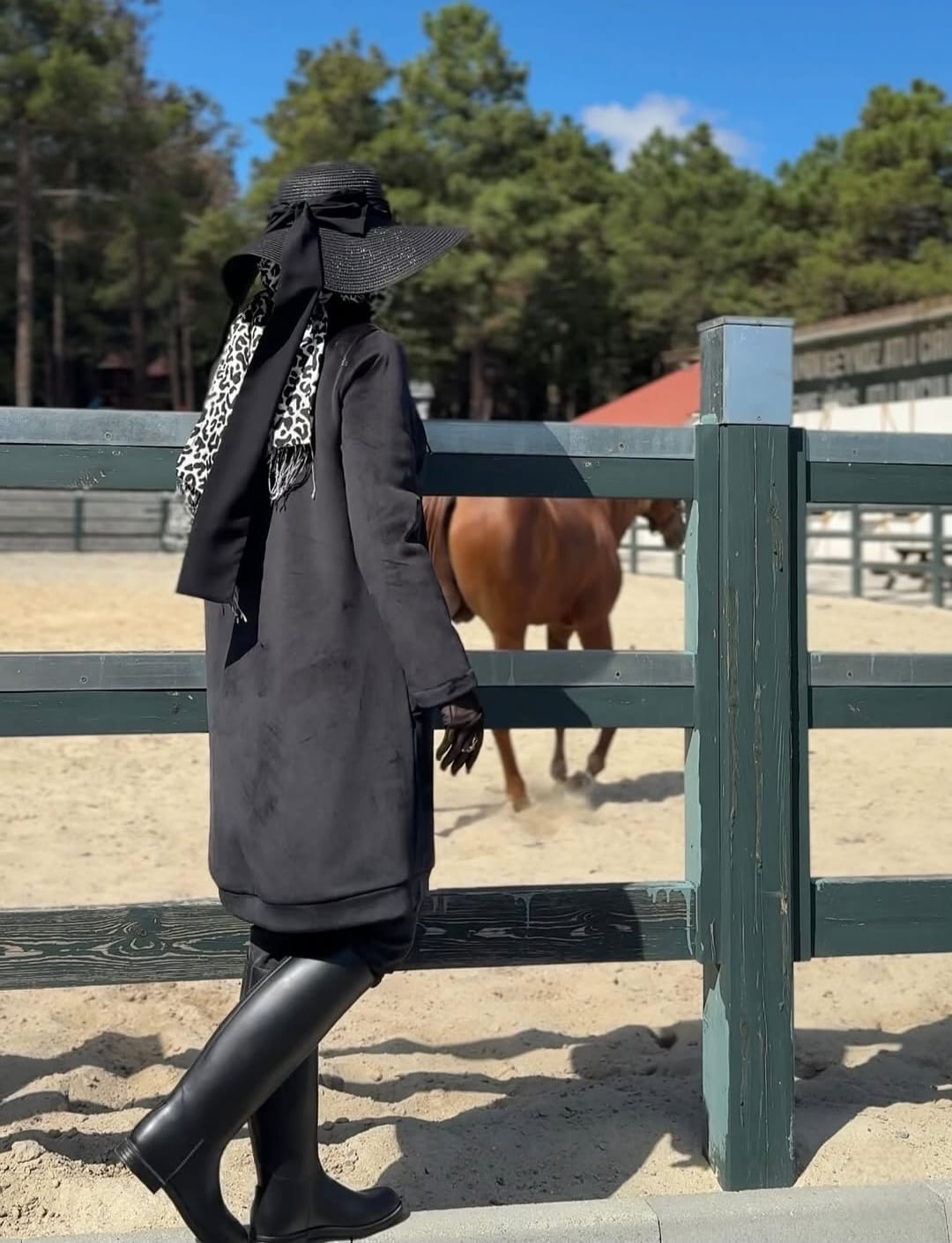 WhatsAppImage2025-10-09at17.39.061